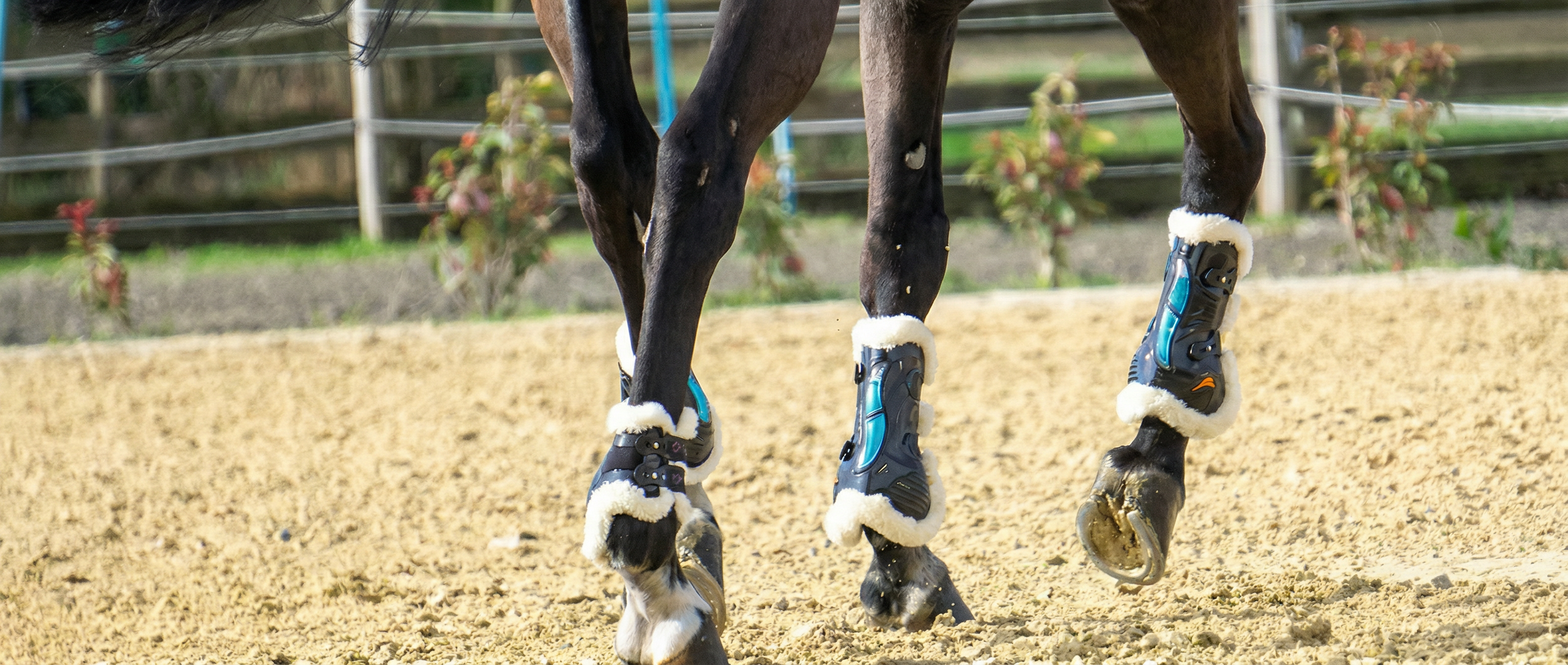 Shop Equick Equestrian | EQU Lifestyle Boutique