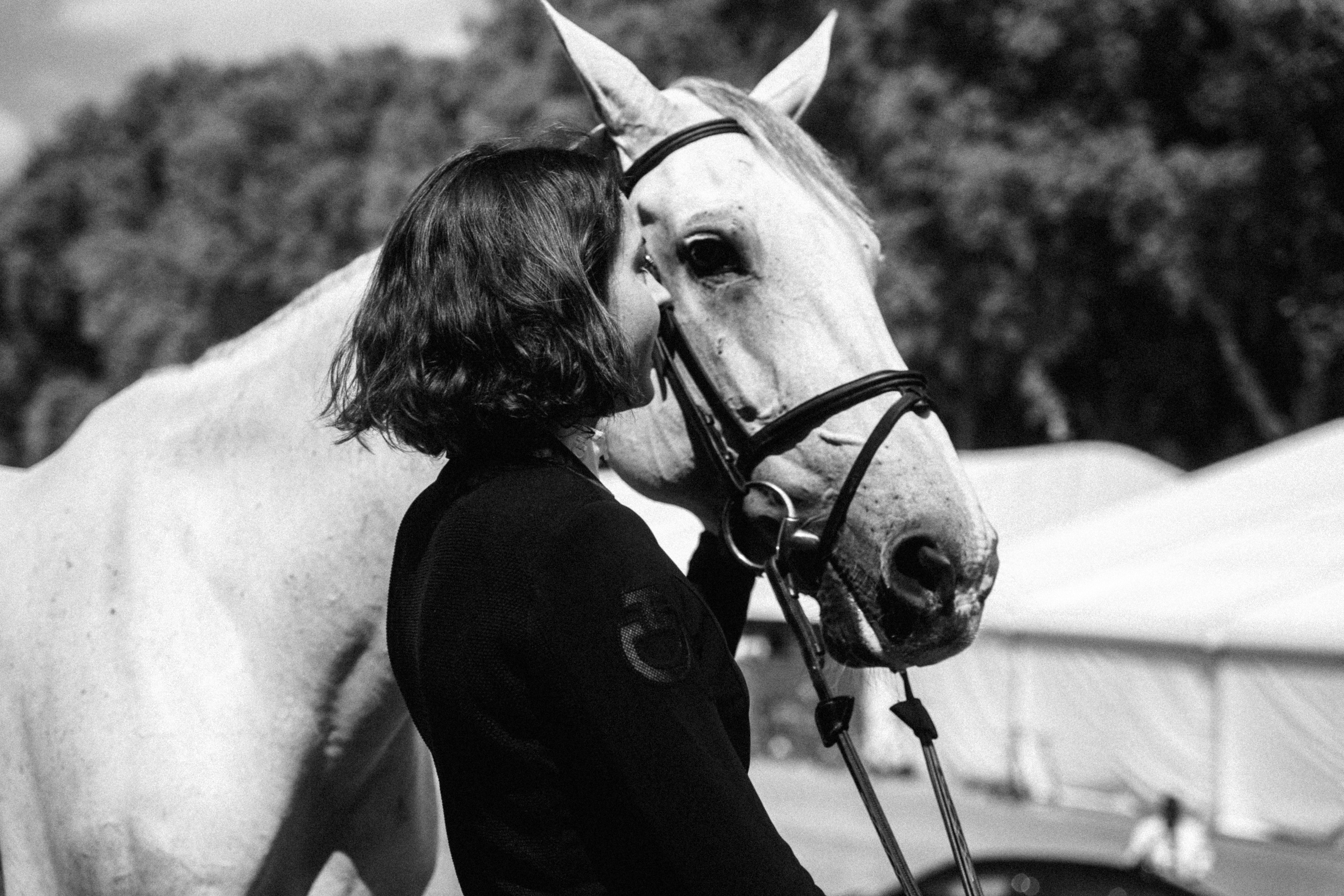 Cavalleria Toscana vs. Vestrum vs. Horse Pilot: Which Brand Is Right for You?