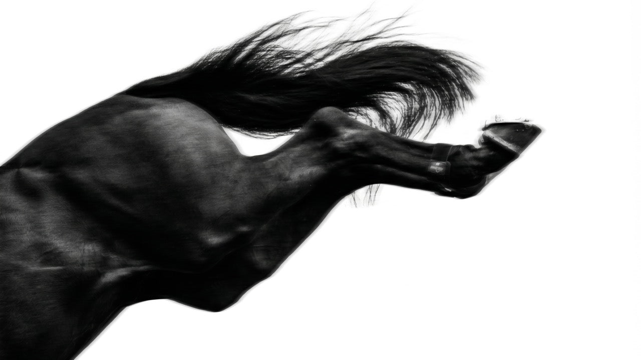 How to Choose the Right Supplements for Your Horse