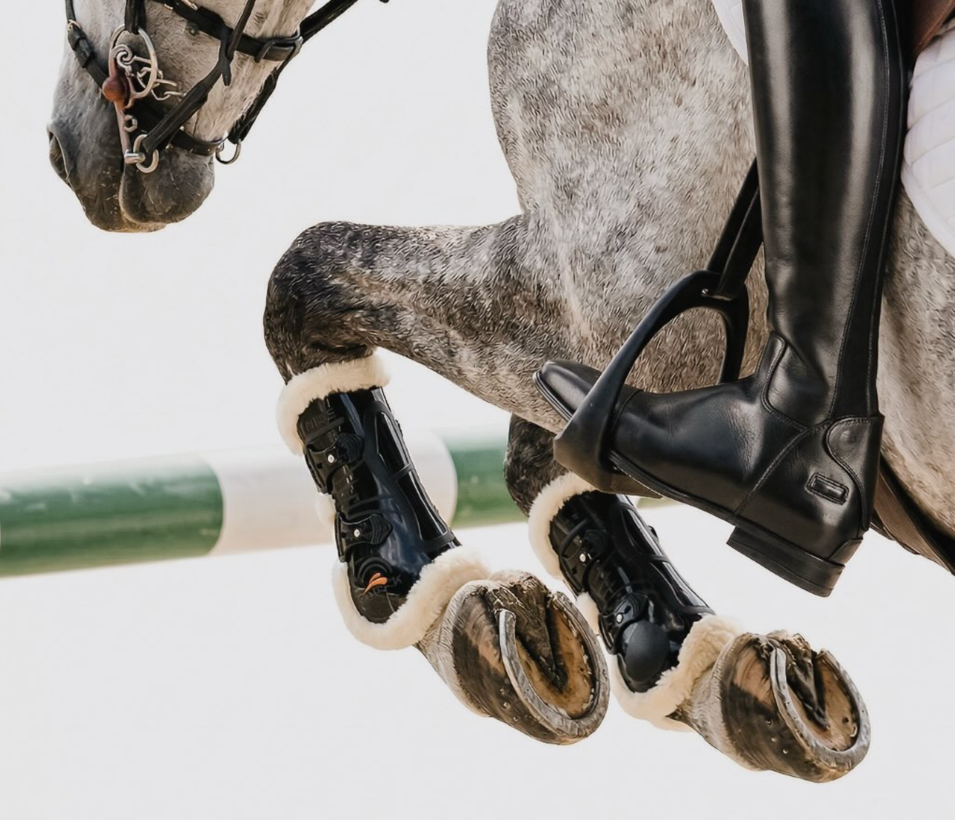 Schooling Boots vs. Competition Boots: What Is the Difference and Do You Need Both?