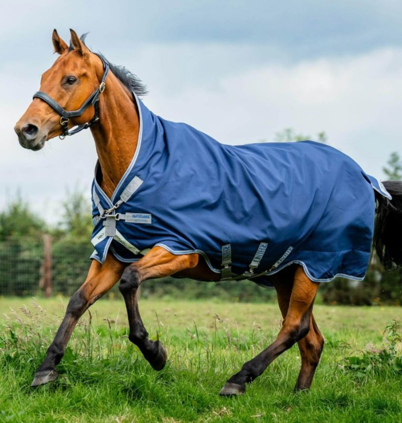 Horseware Blankets Are Now at EQU