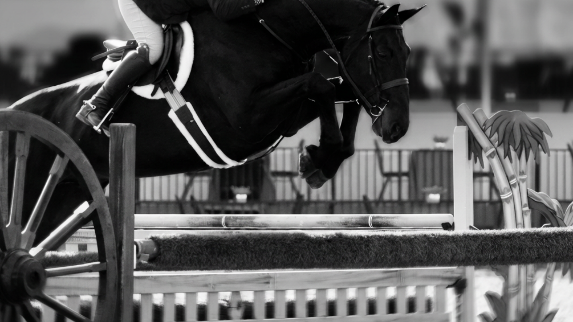 Hunter Apparel, Tack & Accesories