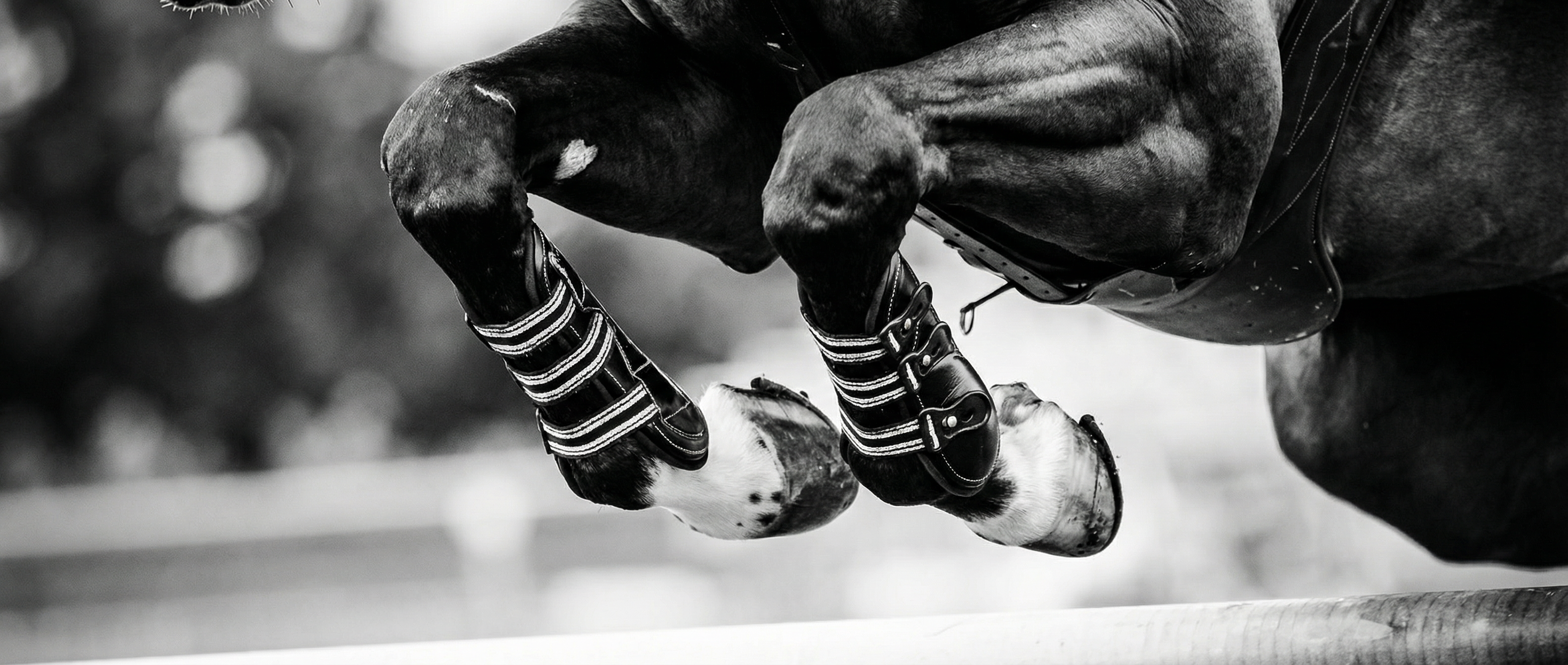 EquiFit