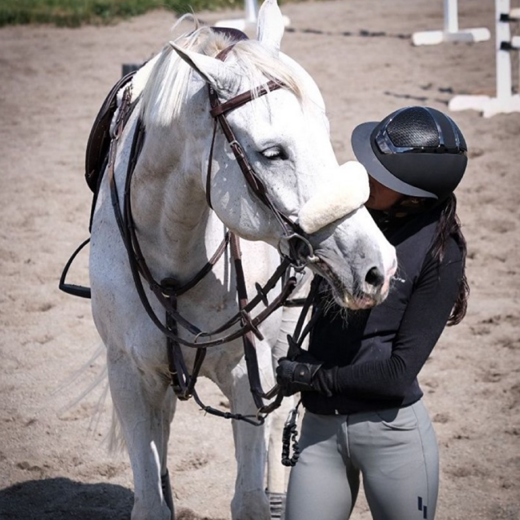 Tack & Horse Accessories