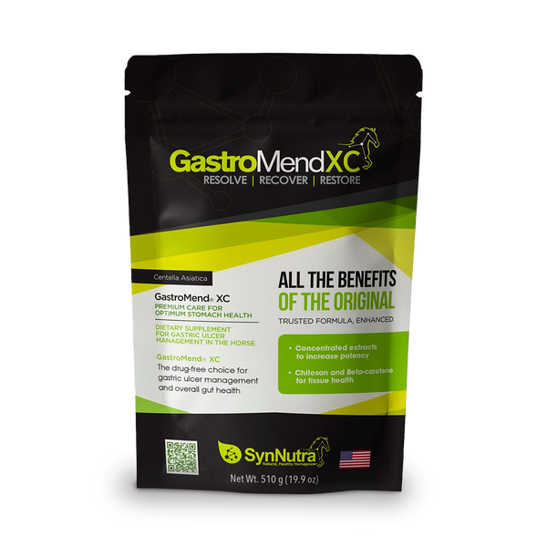 GastroMend XC® – Equine Stomach Health Supplement