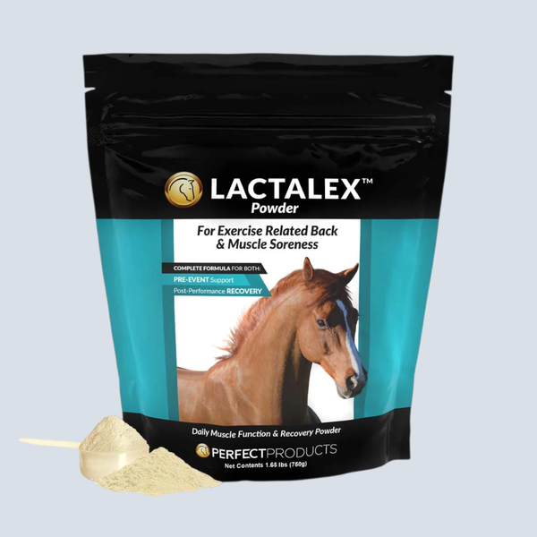 Lactalex™ Daily Muscle Function & Recovery Powder 30 Scoops