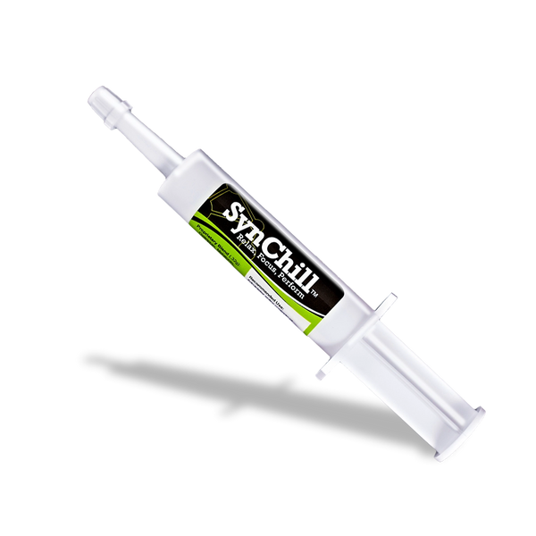 SynChill – Confidence Gel for the Nervous Horse