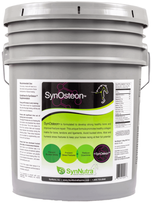 SynOsteon Healthy Bone-2