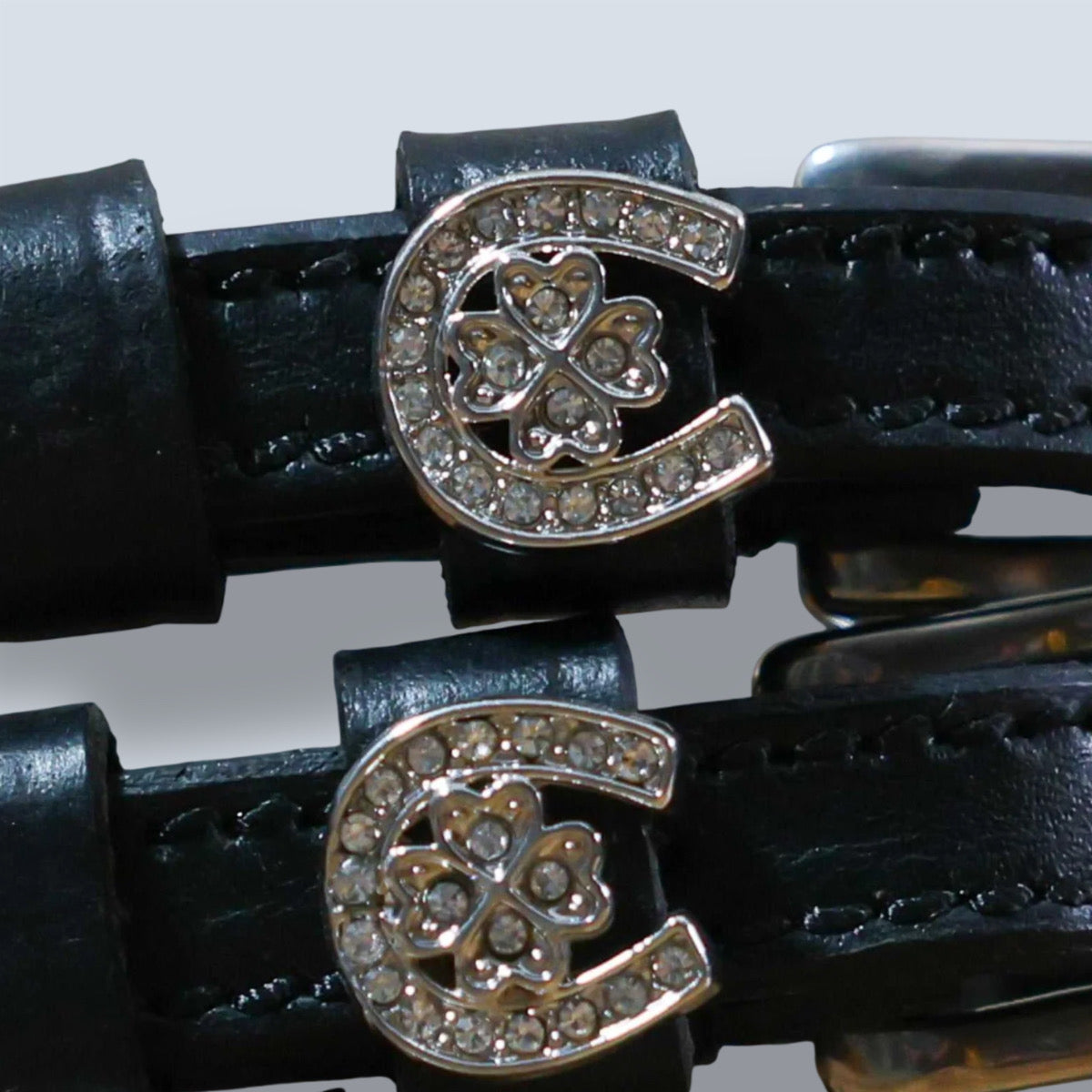 Dreamers & Schemers Horse Shoe Clover Spur Straps-3