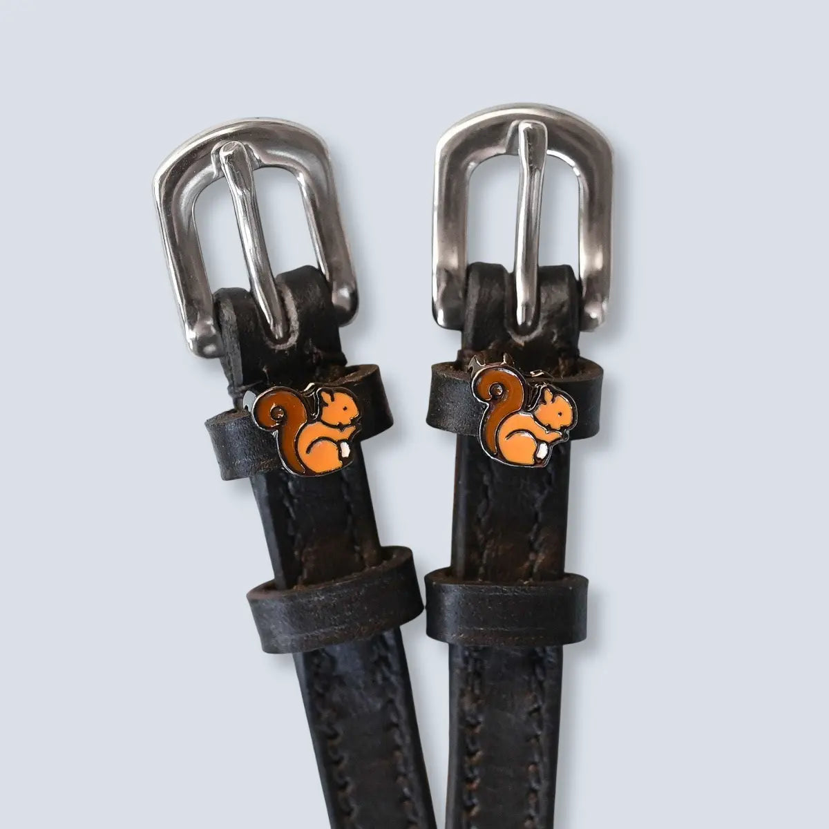 Dreamers & Schemers Squirrel Spur Straps