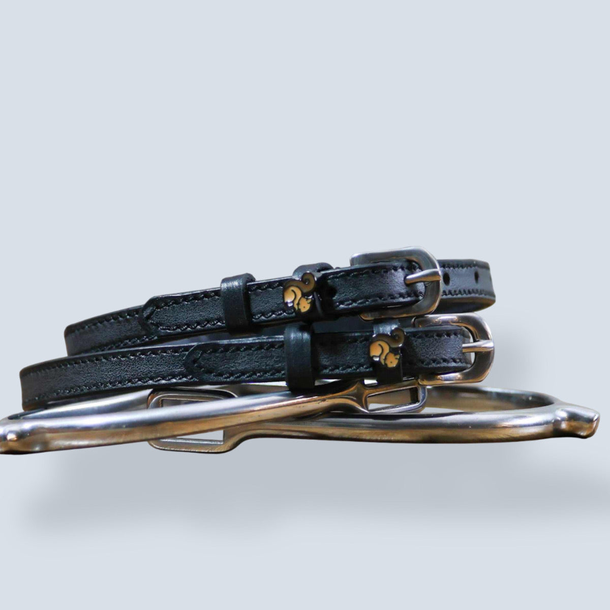 Dreamers & Schemers Squirrel Spur Straps-2