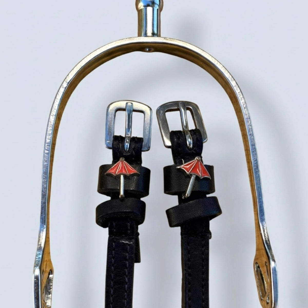 Dreamers & Schemers Umbrella Spur Straps-2