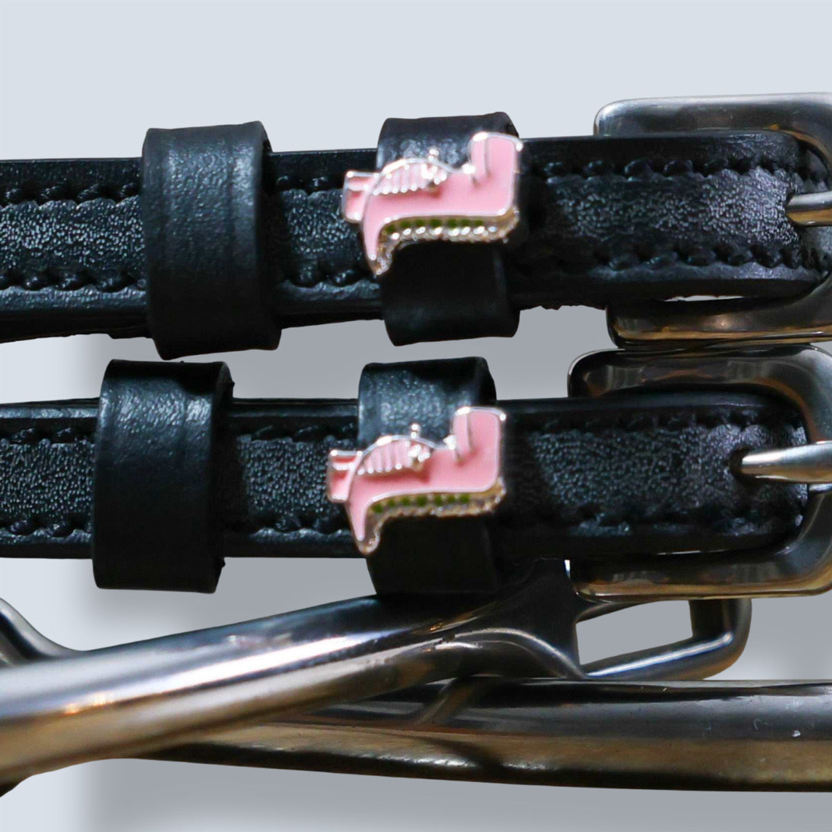 Dreamers & Schemers Pink Dinosaur Spur Straps-3