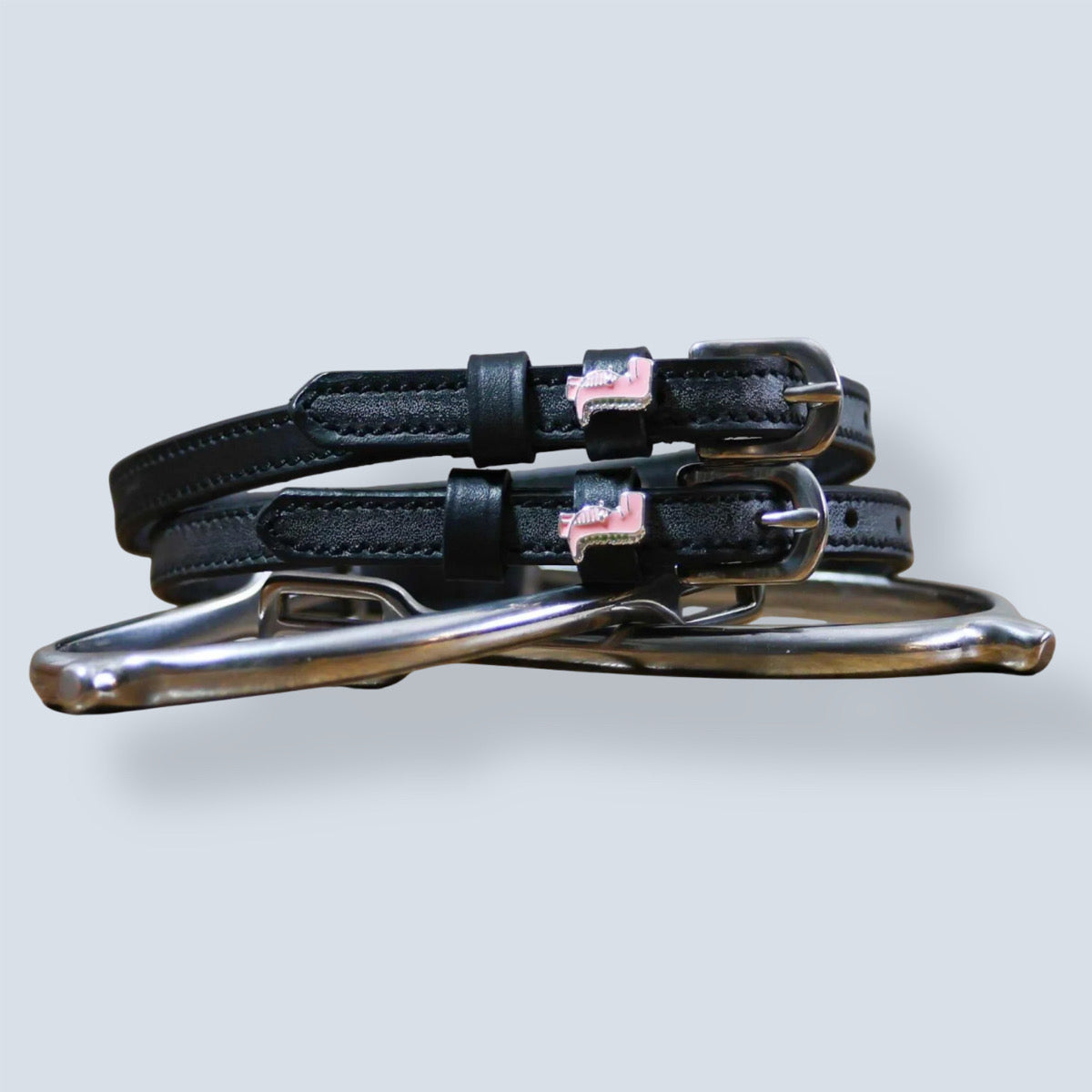 Dreamers & Schemers Pink Dinosaur Spur Straps-2