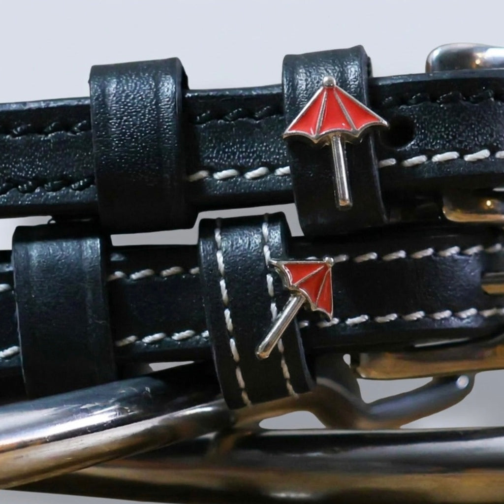 Dreamers & Schemers Spur Straps-34