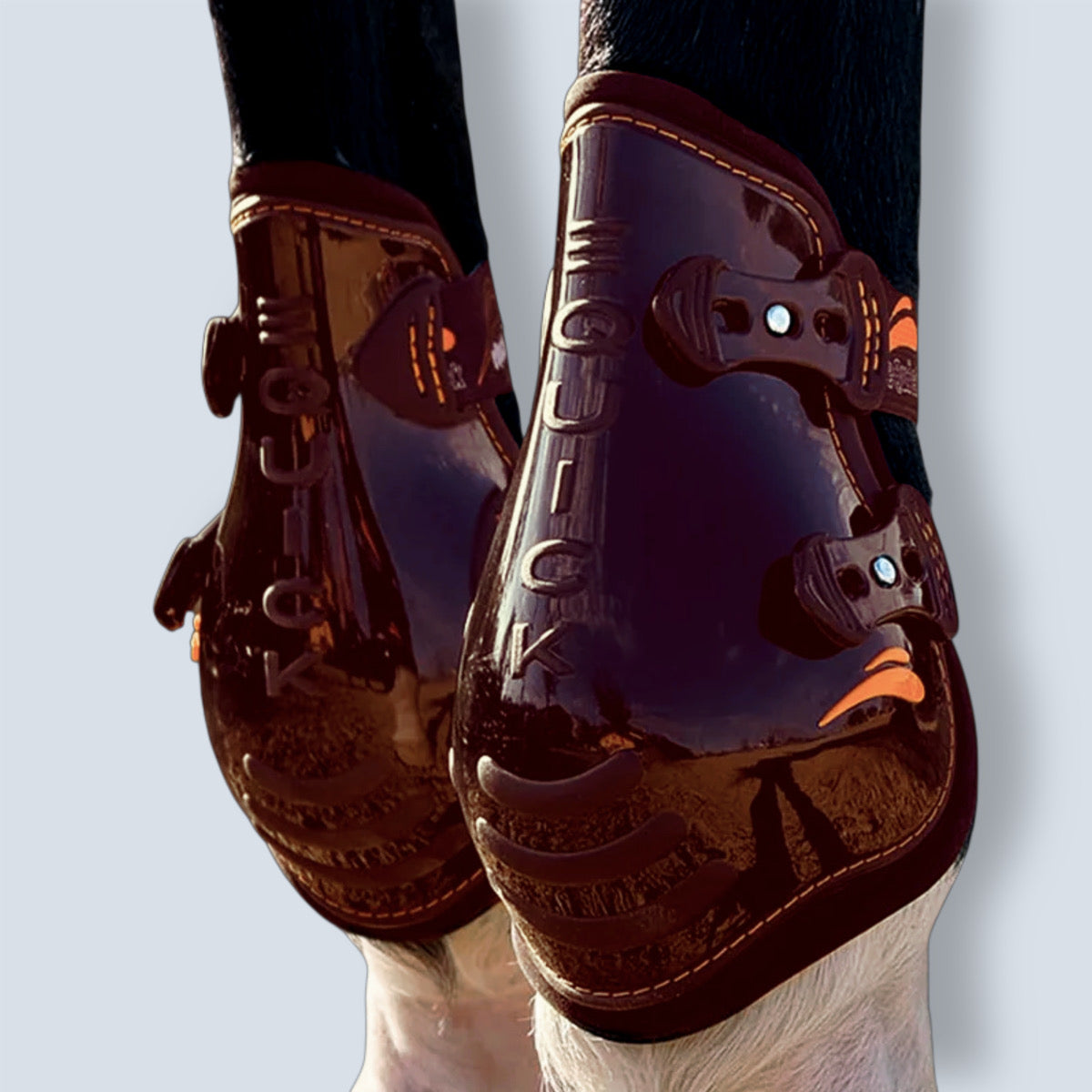 eQuick Triumph Hind Fetlock Boot-4