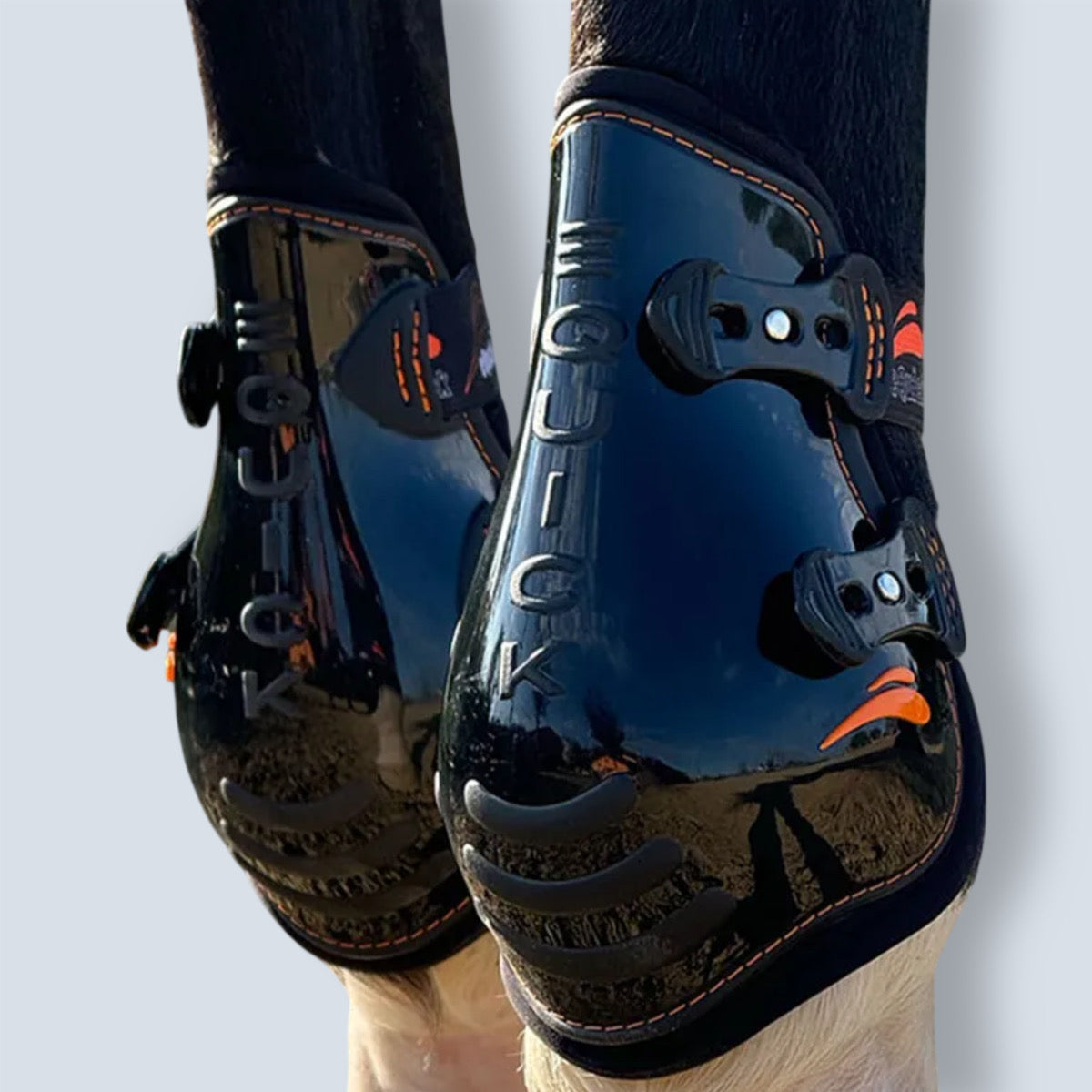 eQuick Triumph Hind Fetlock Boot-3