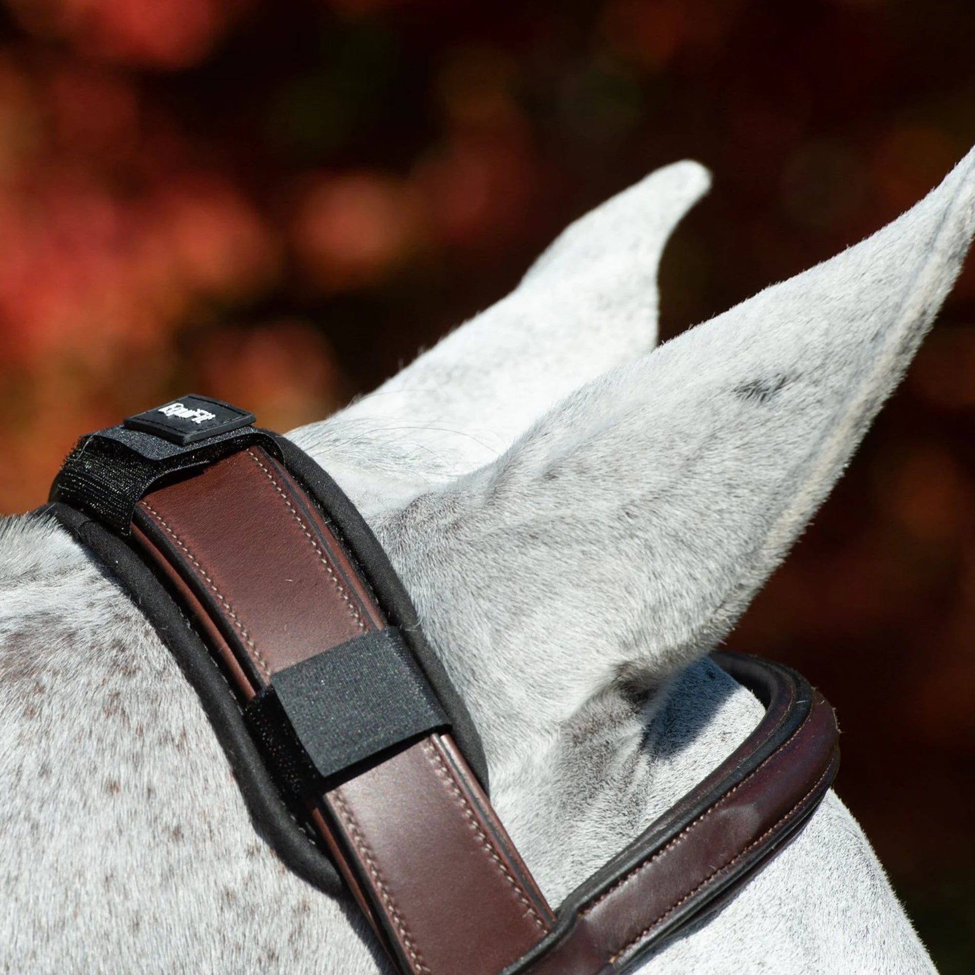 EquiFit Crown Pad-2