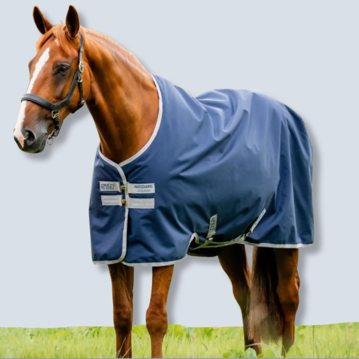 Horseware Amigo Ripstop 900D Turnout 0g Blanket-1