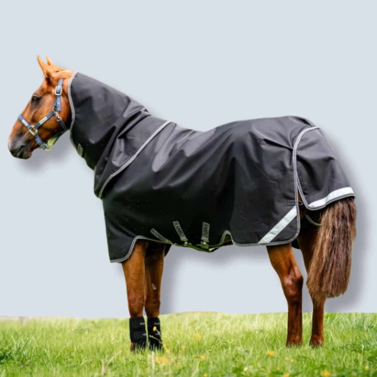 Horseware Rambo 1680D Plus Turnout 0g Blanket-1