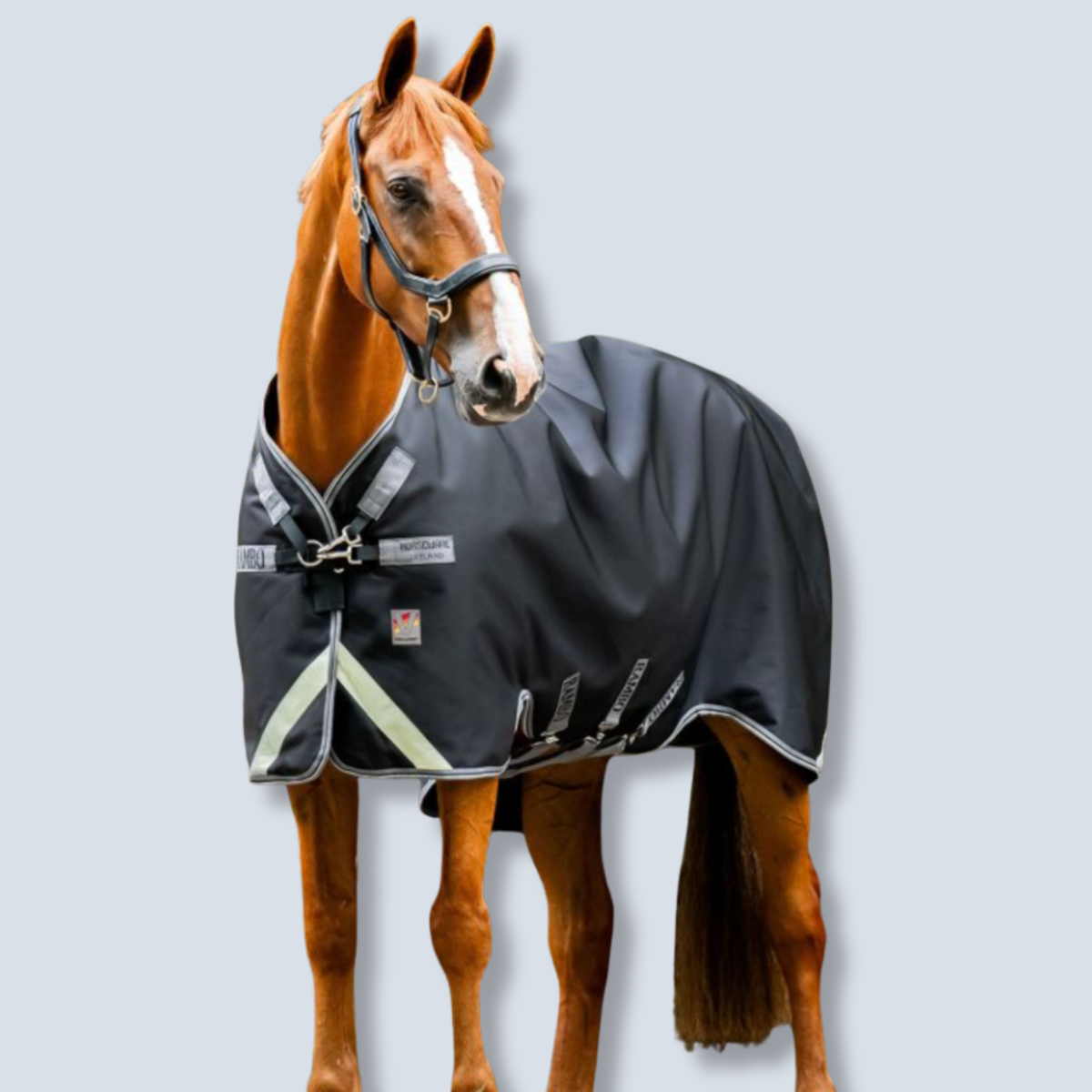 Horseware Rambo 1680D Plus Turnout 450g Vari-Layer Blanket-3