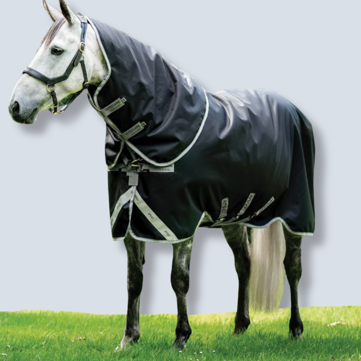 Horseware Amigo 1200D Plus Turnout 0g Blanket-1