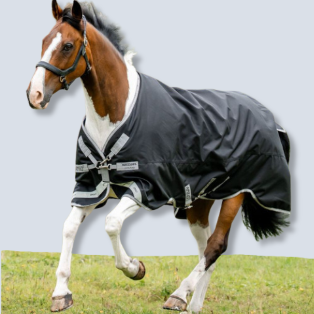 Horseware Amigo 1200D Turnout 0g Sheet-2