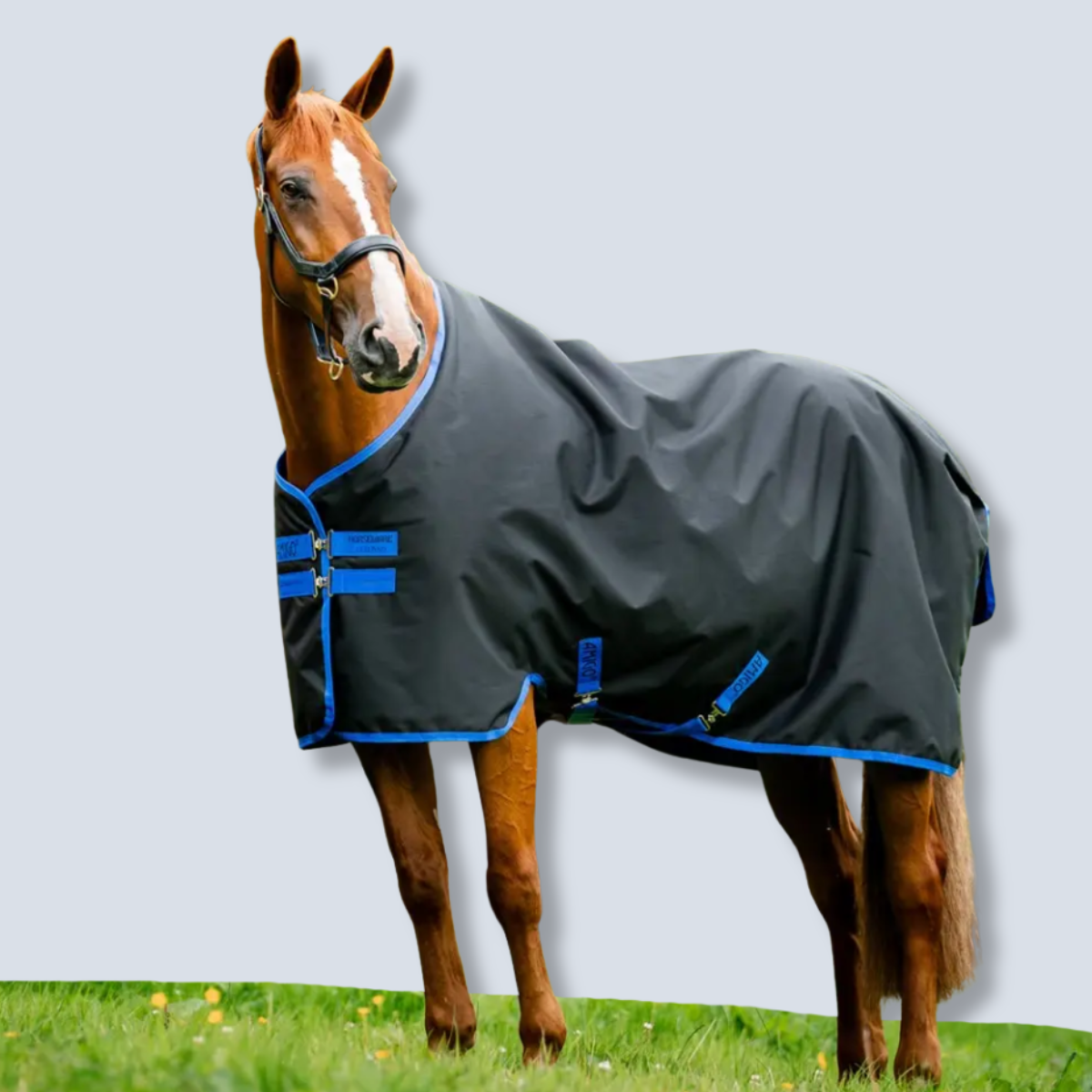Horseware Amigo Ripstop 900D Plus Turnout 0g Blanket-1