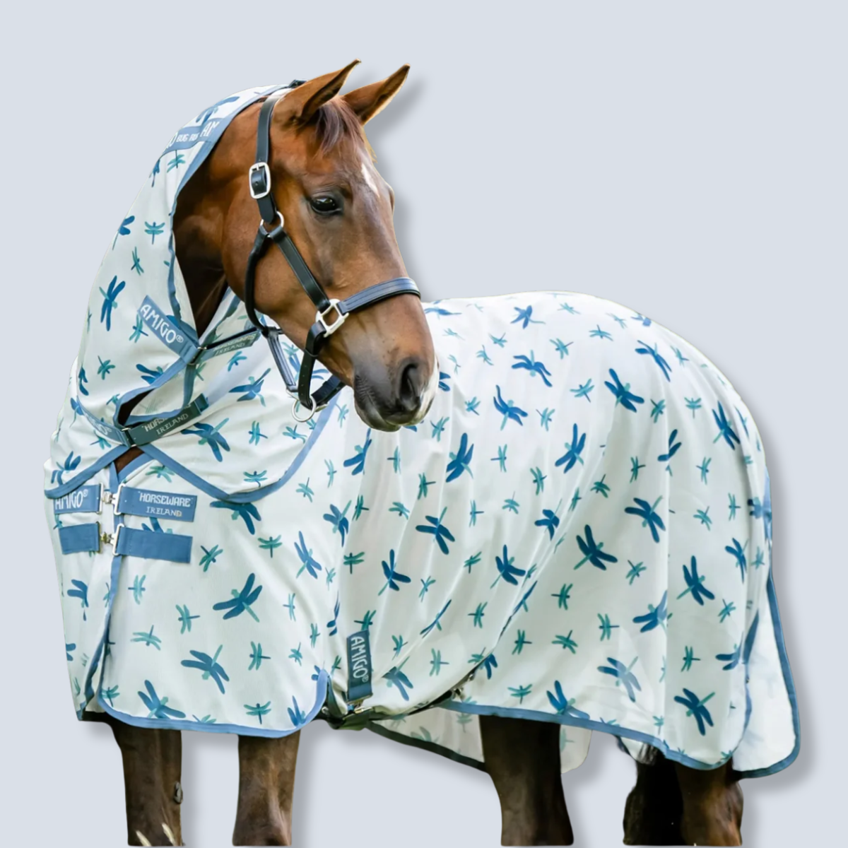 Horseware Amigo Bug Rug Plus Fly Sheet-1