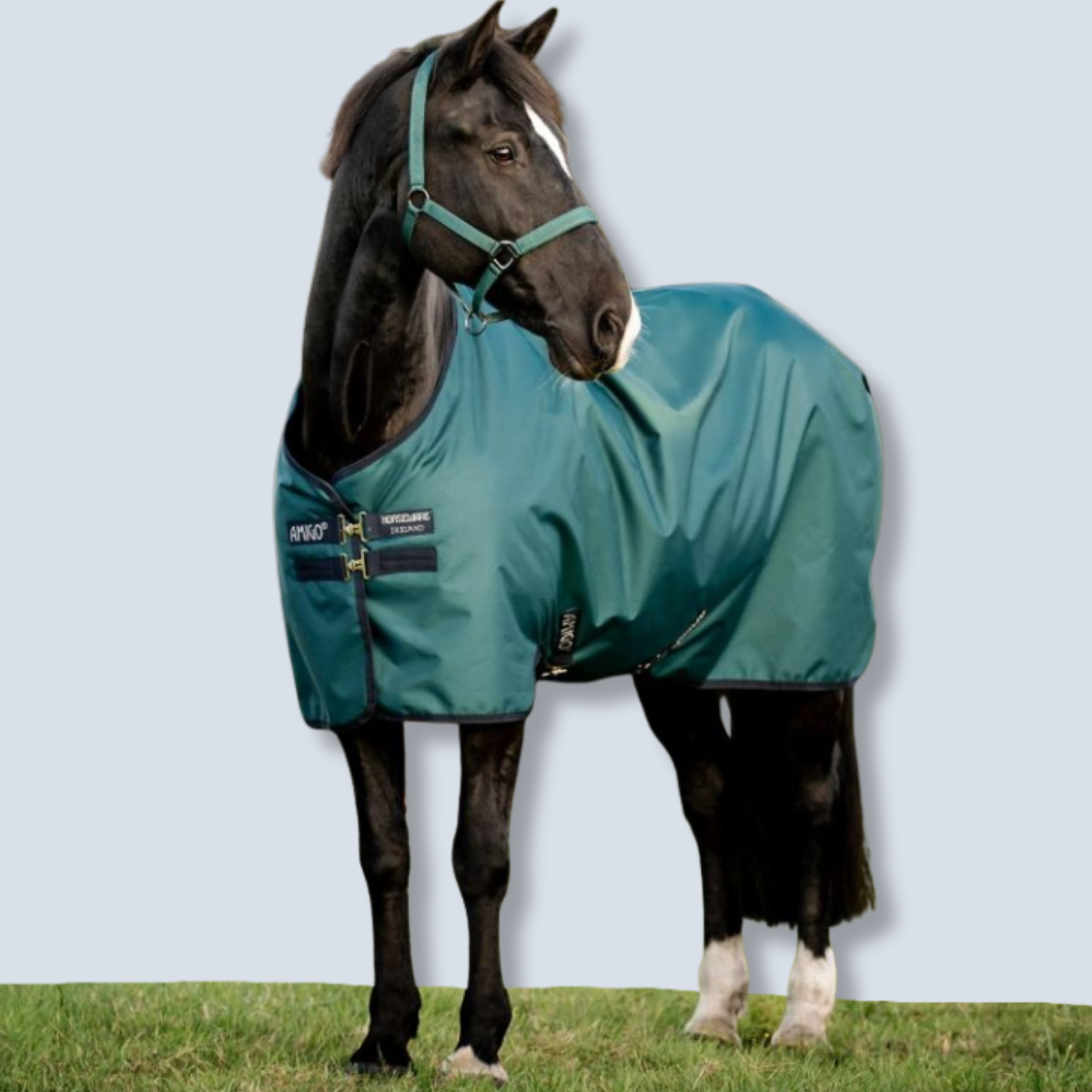 Horseware Amigo Ripstop 900D Plus Turnout 100 g Blanket-2