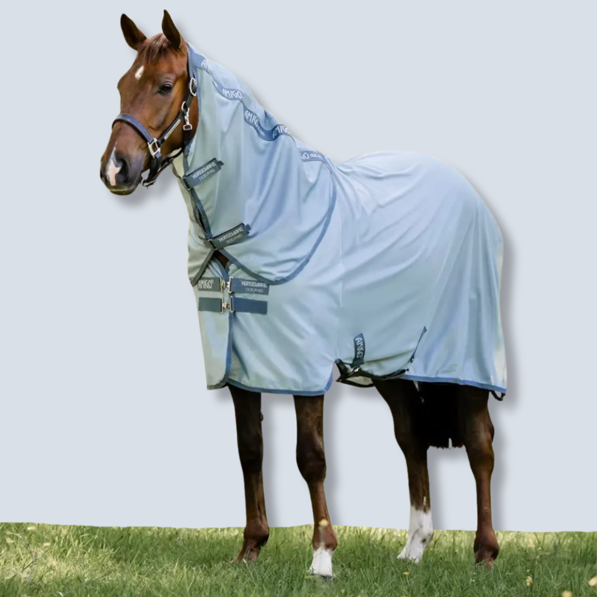 Horseware Amigo Bug Rug Plus Fly Sheet-2