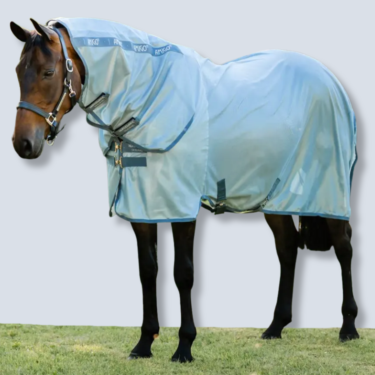 Horseware Amigo Integrated Fly Sheet-2