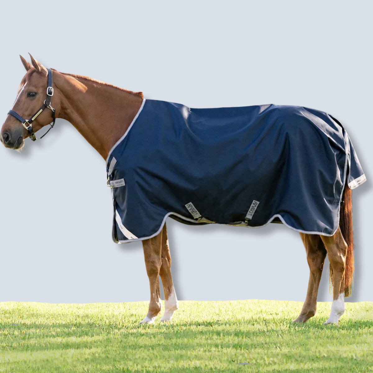 Horseware Amigo 1200D Plus Turnout 400g Blanket-1
