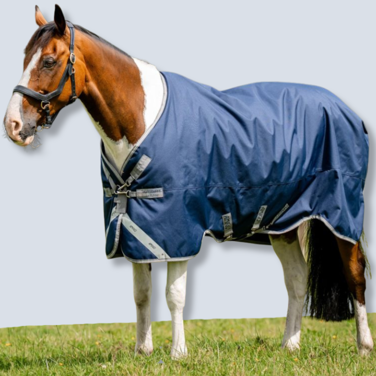 Horseware Amigo 1200D Turnout 0g Sheet-1