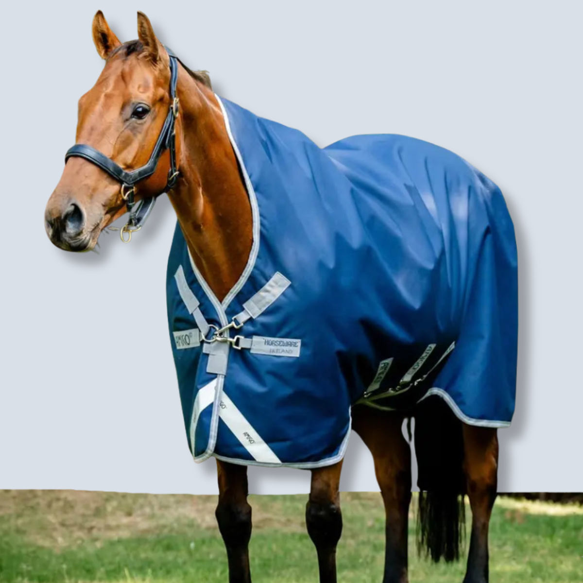 Horseware Amigo 1200D Wug Turnout 250g Blanket-1