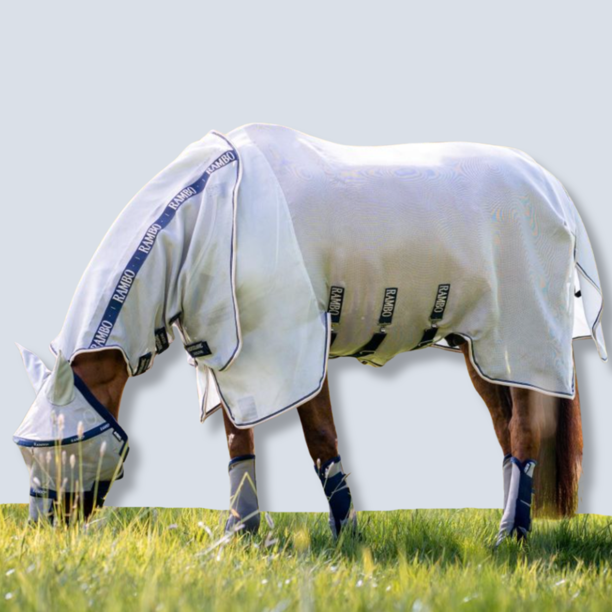 Horseware Rambo Protector Plus Sheet-1