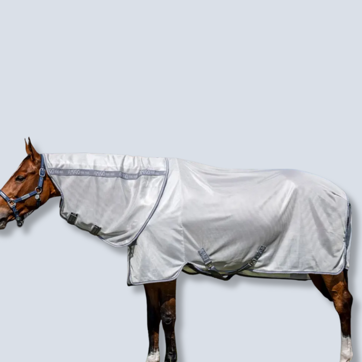 Horseware Amigo Bug Rug Plus Fly Sheet-3