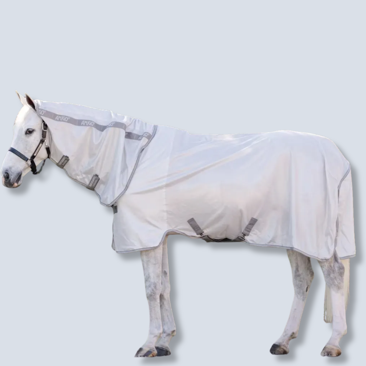 Horseware Amigo Integrated Fly Sheet-3