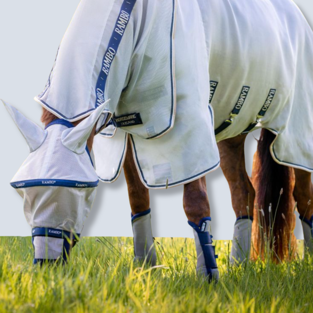 Horseware Rambo Protector Plus Sheet-4