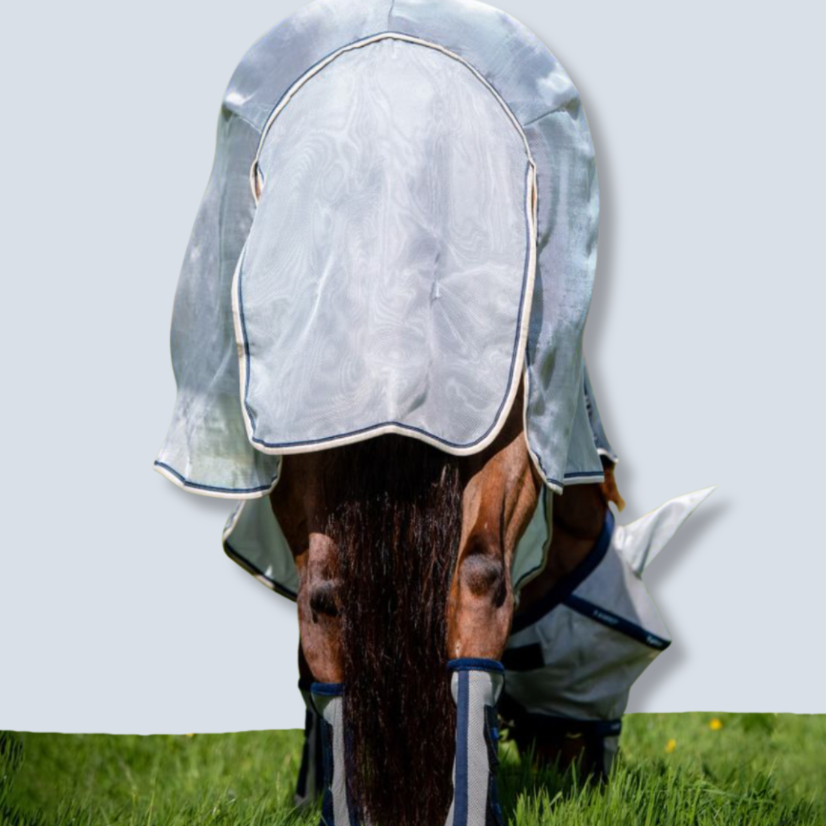 Horseware Rambo Protector Plus Sheet-3
