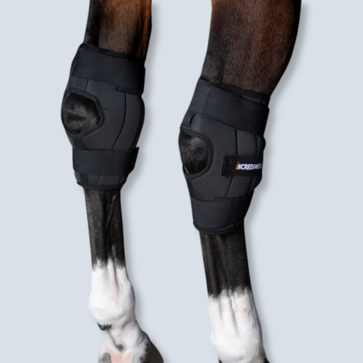 Incrediwear Circulation Left Hock Boot - Size Medium