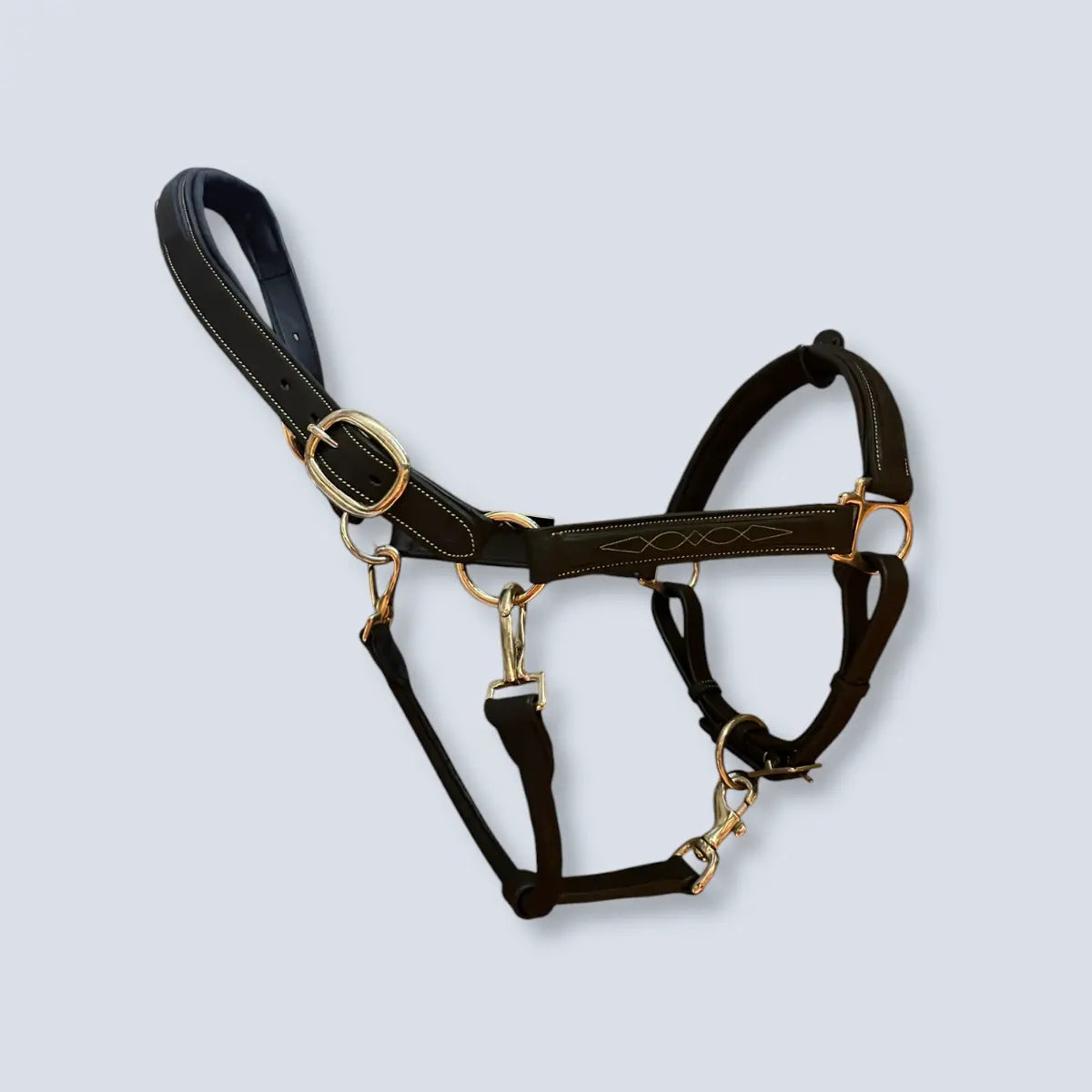 Limit Halter with Nickel Buckles