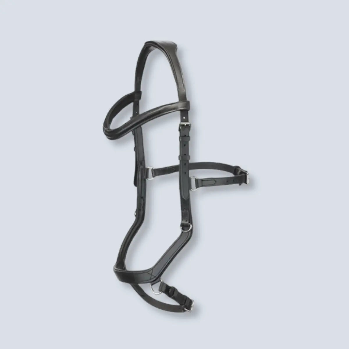 Limit Michlem Bridle