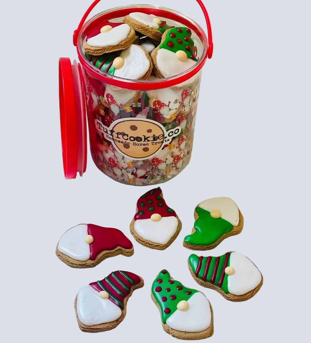 Tuff Cookie Co Large Treat Bucket-1