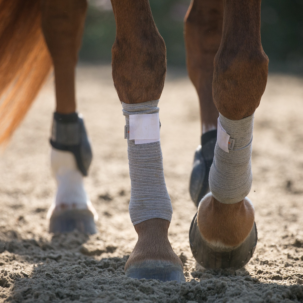 The Incrediwear Equine Therapeutic Leg Wraps are designed to fit comfortably around the horse's legs, and is secured with a reliable velcro strip. Leg Wraps are created to help prevent injury, accelerate recovery time, and improve performance.  Passive Recovery – Wrap horse's legs with Therapeutic Leg Wraps after working your horse to reduce inflammation for recovery and injury prevention.